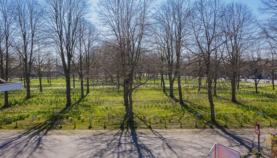 Residentie Willemien in Buggenhout