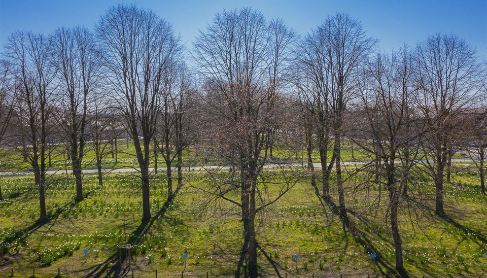 Residentie Willemien in Buggenhout