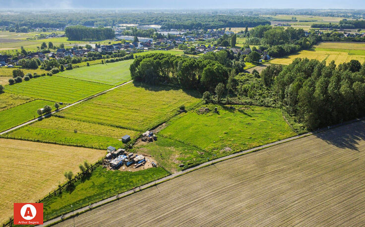 Bos te koop in Buggenhout
