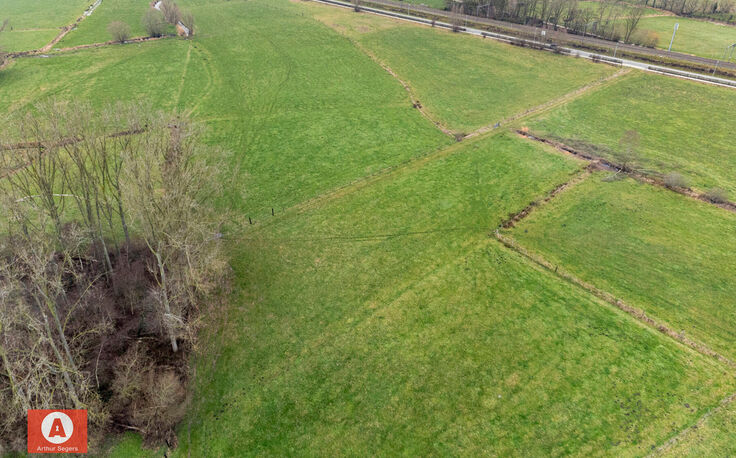 Weide te koop in Buggenhout