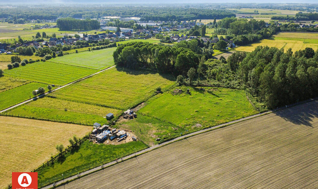 Bos te koop in Buggenhout