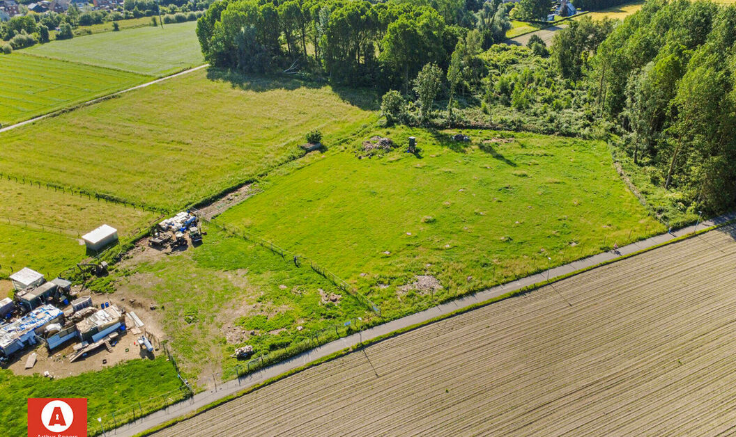 Bos te koop in Buggenhout