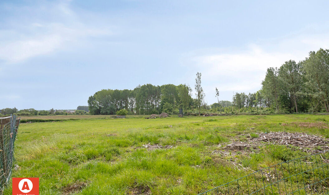 Bos te koop in Buggenhout