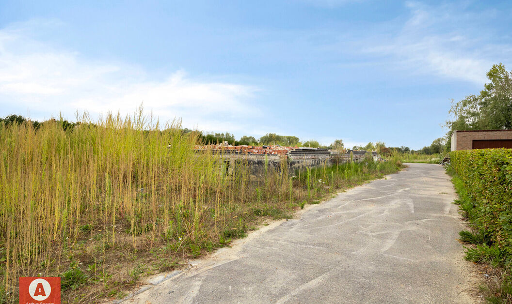 Bouwgrond te koop in Buggenhout