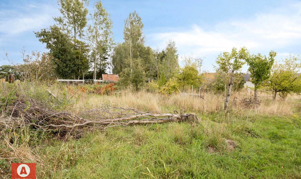 Bouwgrond te koop in Buggenhout