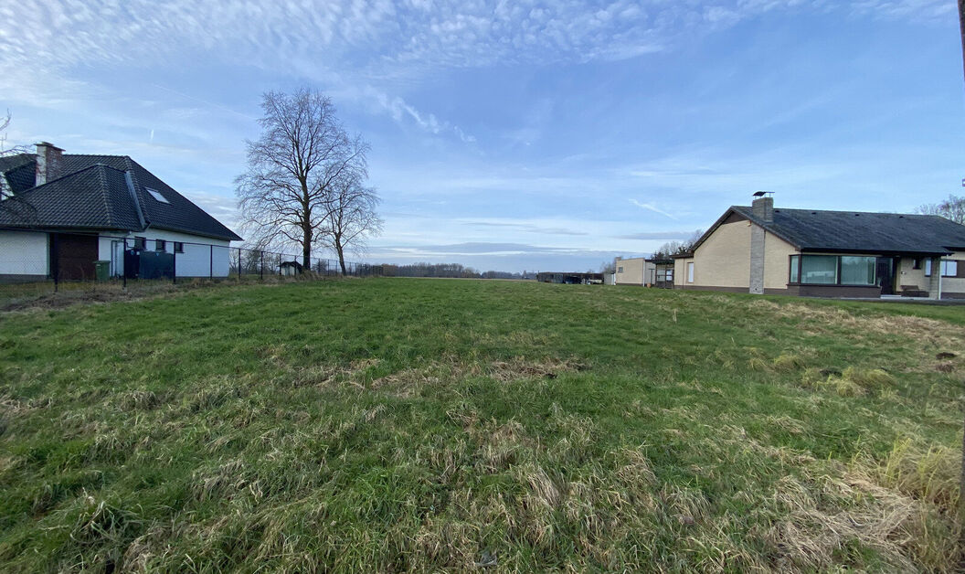 Bouwgrond te koop in Buggenhout