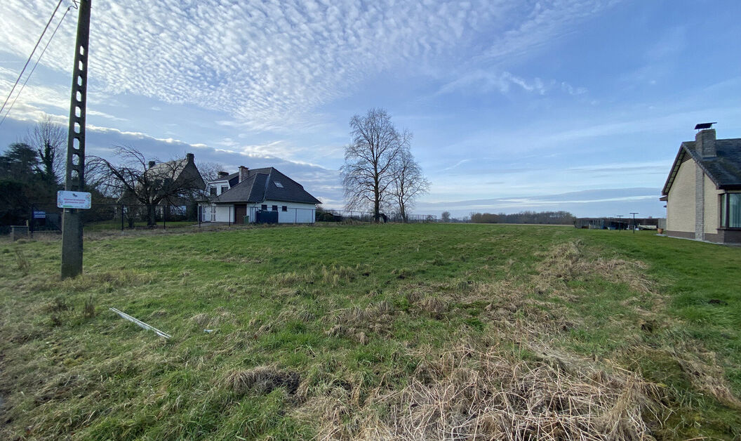 Bouwgrond te koop in Buggenhout