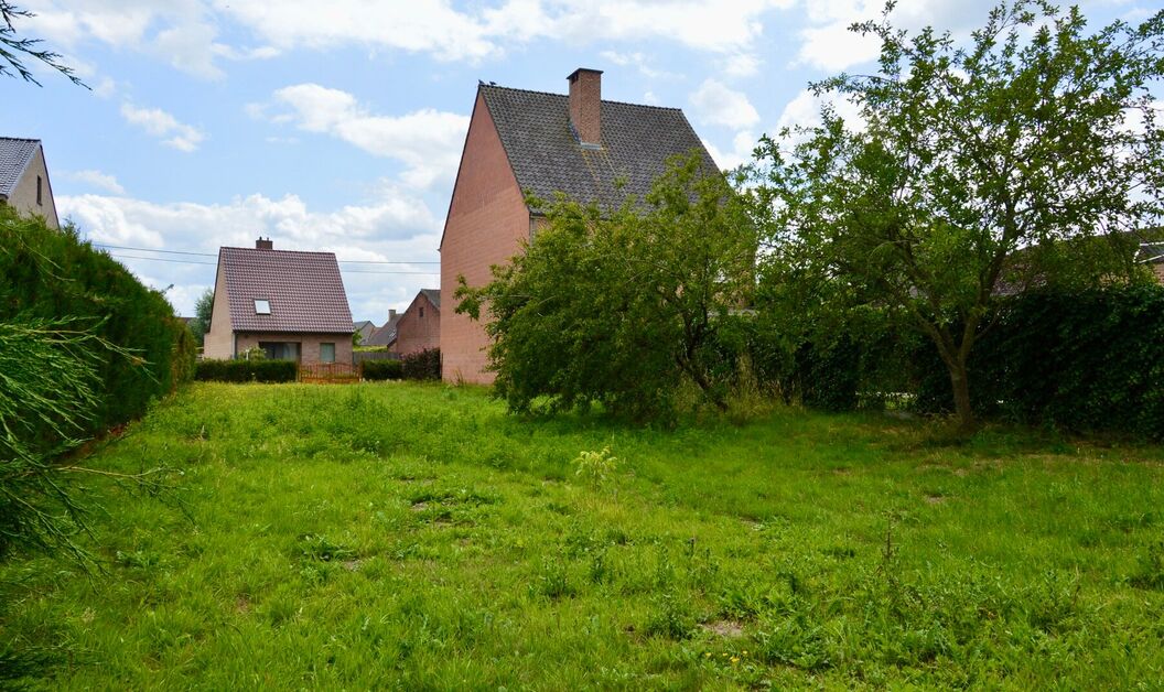 Bouwgrond te koop in Buggenhout