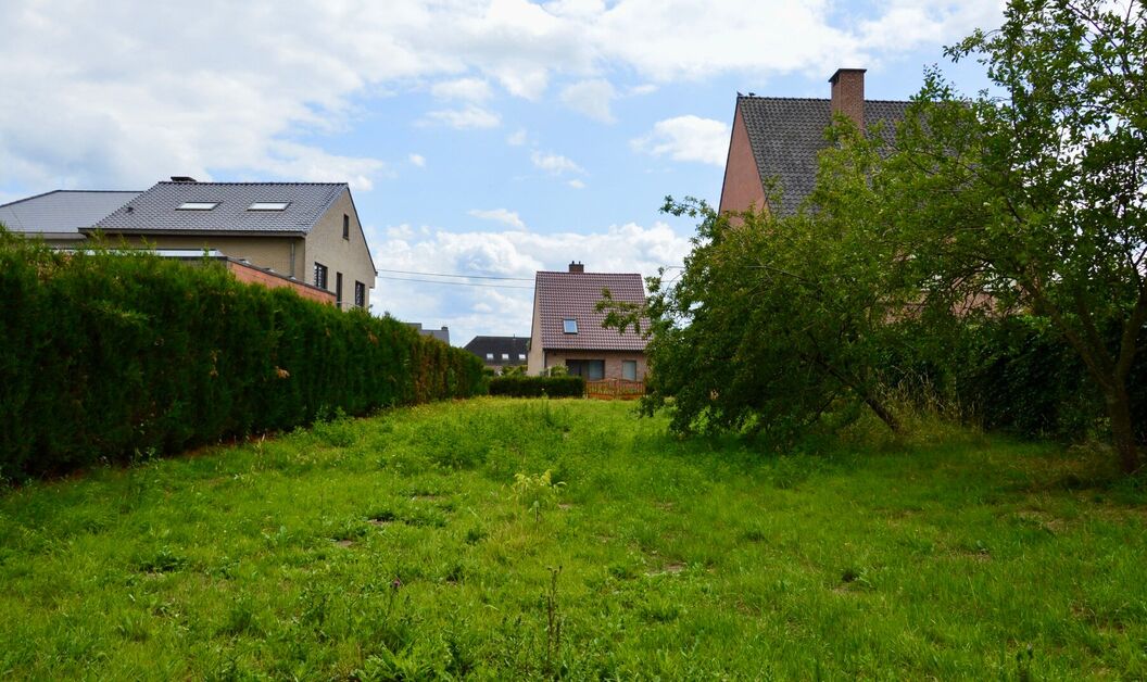 Bouwgrond te koop in Buggenhout