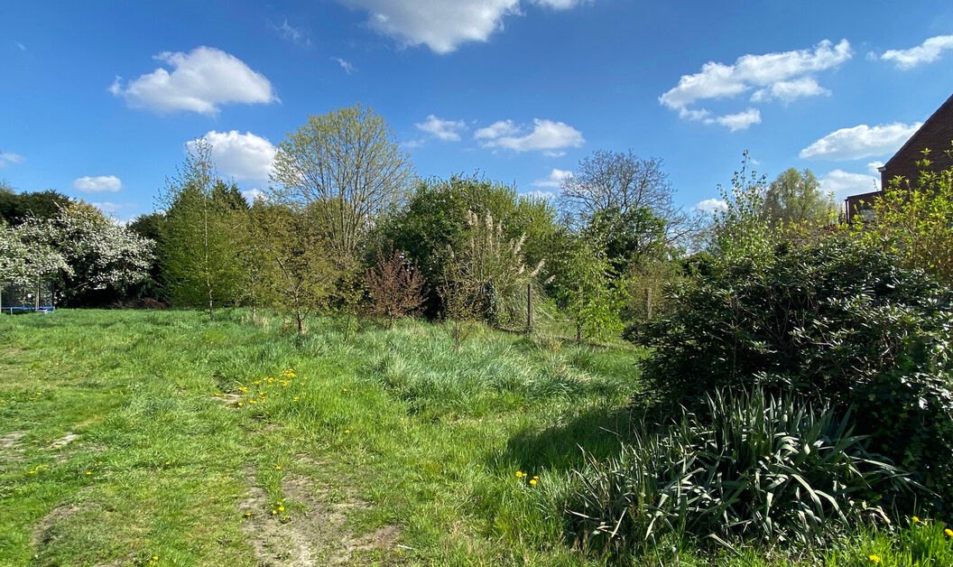 Bouwgrond te koop in Buggenhout