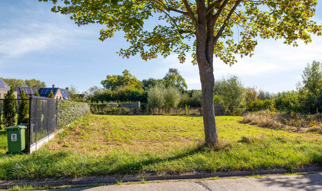 Bouwgrond te koop in Buggenhout