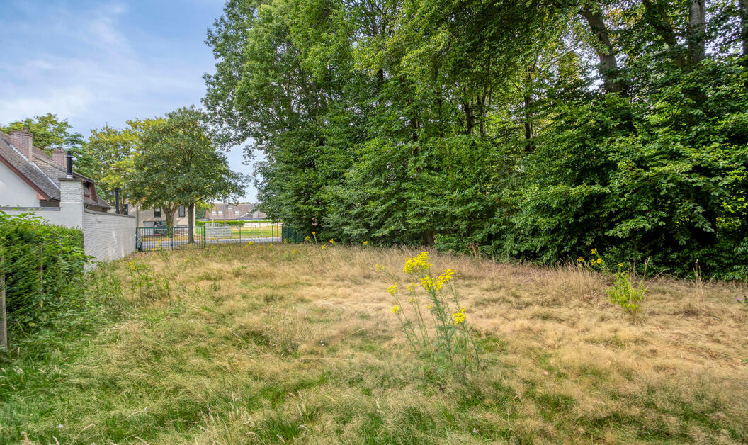 Grond te koop in Dendermonde