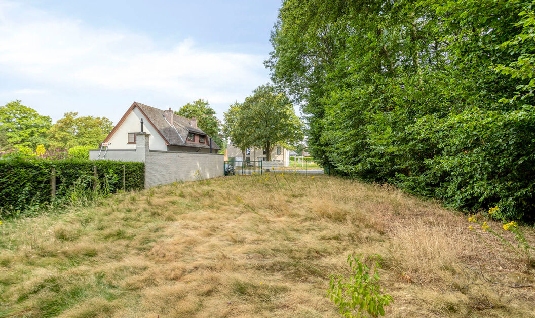 Grond te koop in Dendermonde