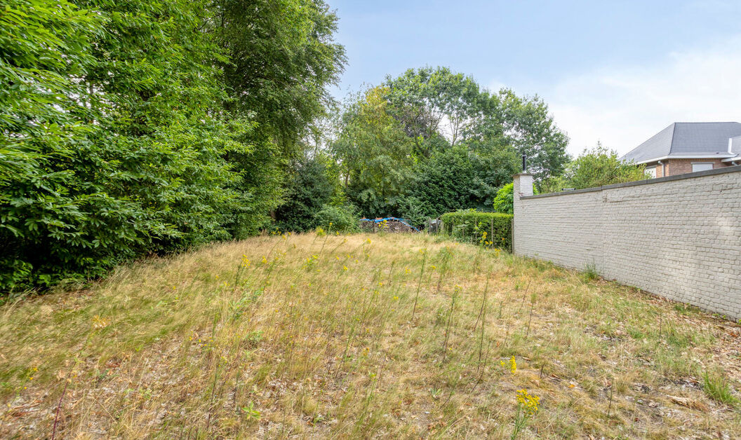 Grond te koop in Dendermonde