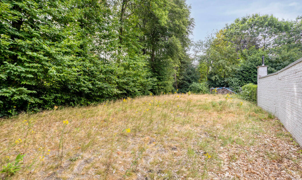 Grond te koop in Dendermonde