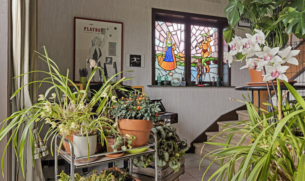 Huis te koop in Buggenhout