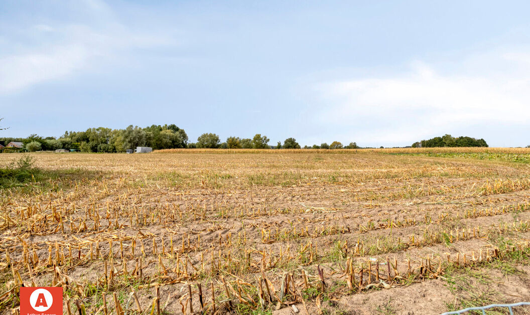 Huis te koop in Buggenhout