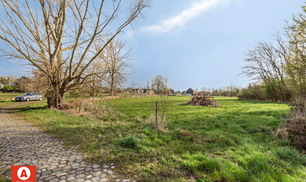 Landbouwgrond te koop in Buggenhout