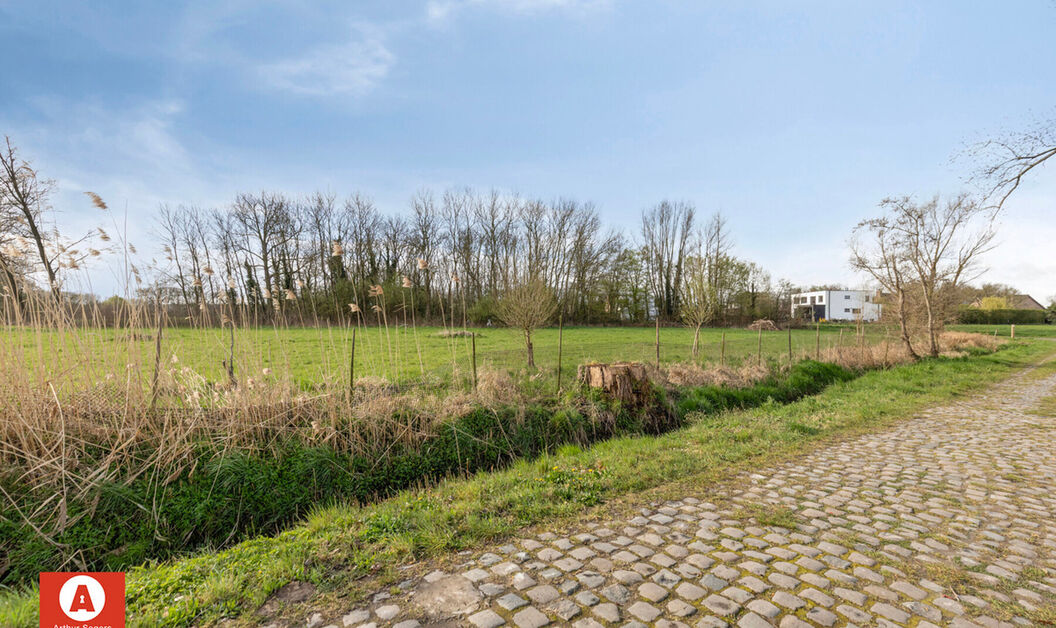 Landbouwgrond te koop in Buggenhout