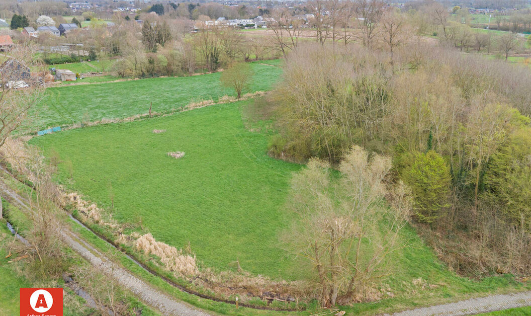 Landbouwgrond te koop in Buggenhout