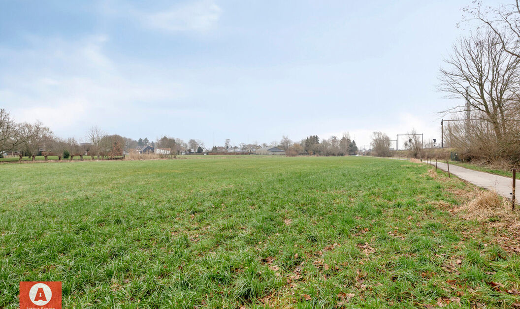 Weide te koop in Buggenhout