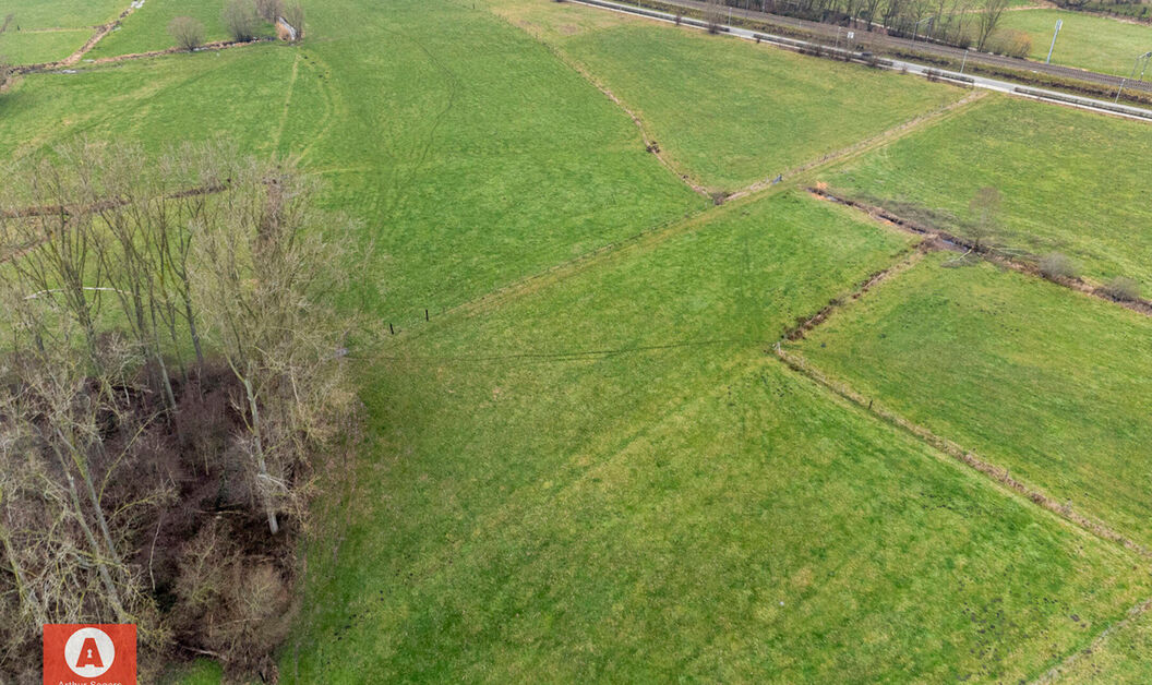 Weide te koop in Buggenhout