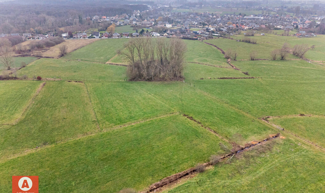 Weide te koop in Buggenhout