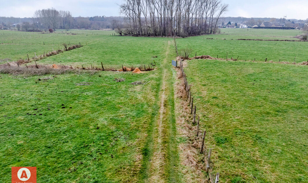 Weide te koop in Buggenhout