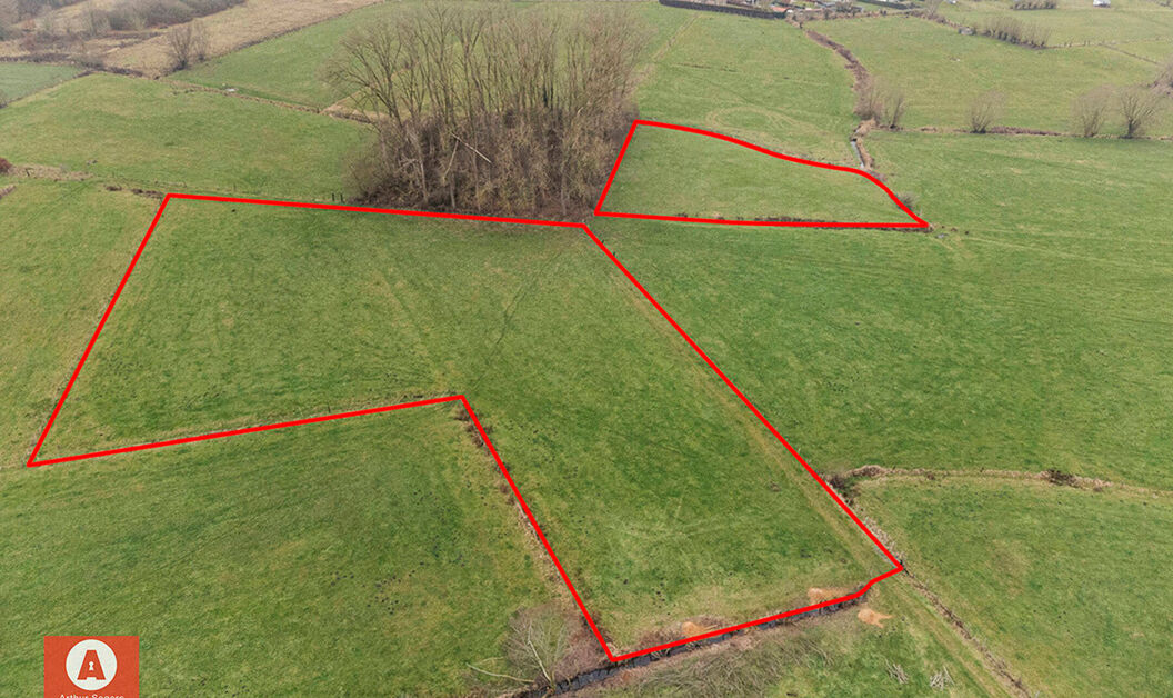 Weide te koop in Buggenhout