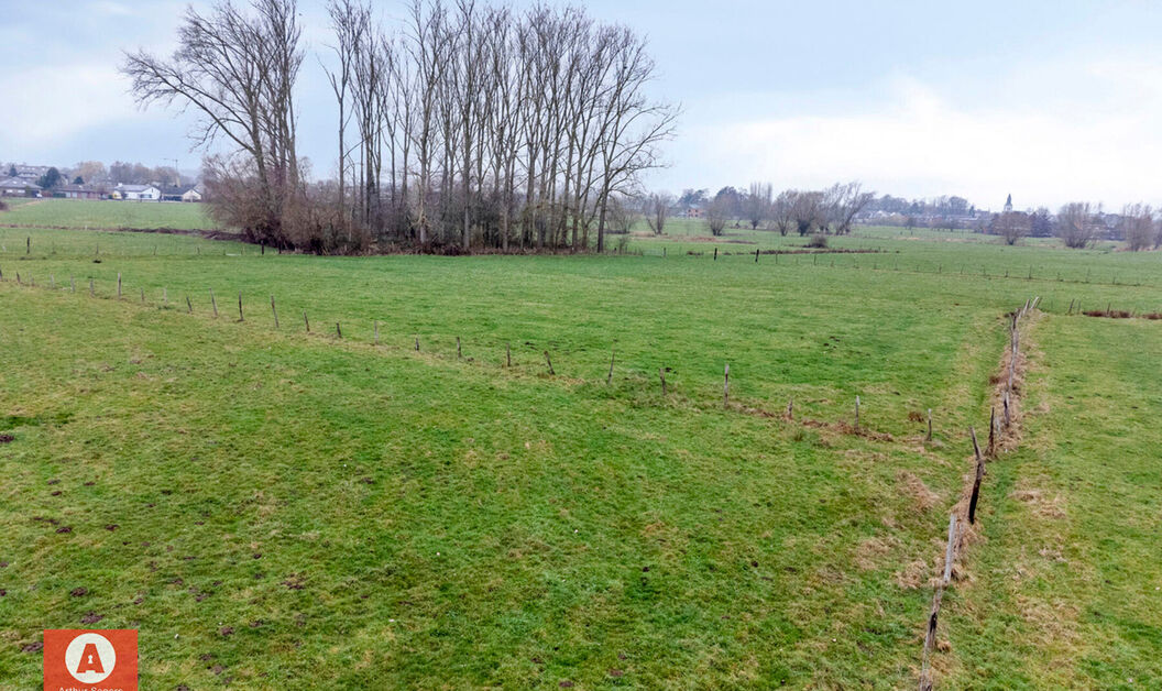 Weide te koop in Buggenhout