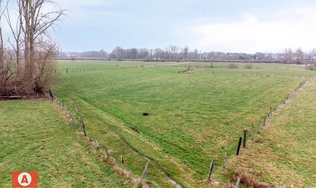 Weide te koop in Buggenhout